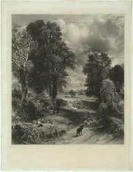 The Cornfield