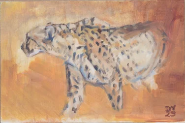Cheetah, 2021