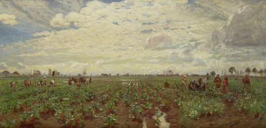 Fieldworkers, Holland