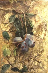 Plums
