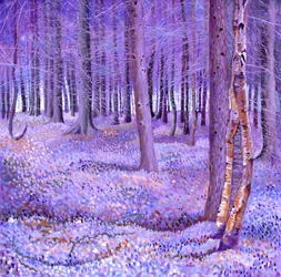 Purple Forest 2, 2012