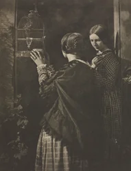 Camera Work: The Bird-Cage, 1909