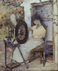 Spinning Wool