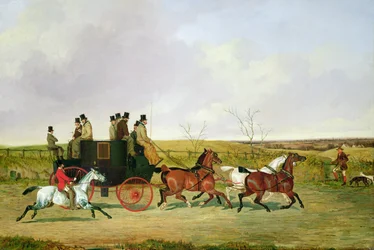 Horse and Carriage