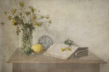 Timeless Still Life