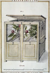 Container for transporting useful and interesting trees, watercolour by Delahaye, based on 