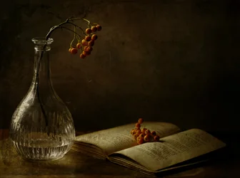 Autumn Berries And Book