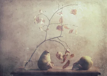 Autumn Pear Still Life