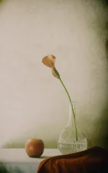 Calla Lily and Apple Still Life