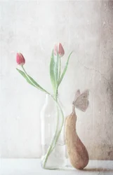 Delicate Tulips Still Life