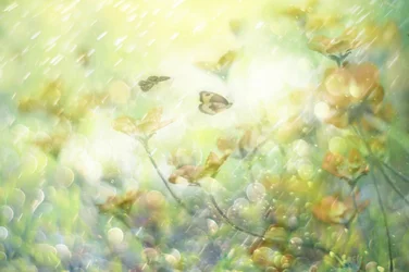 Dreamy Butterfly Blooms