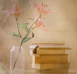 Dreamy Lilies Snail Books