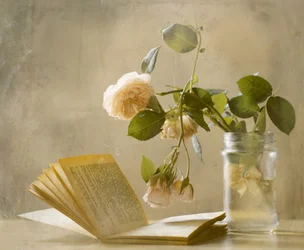 Faded Roses Open Book