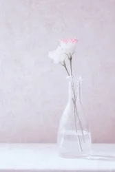 Flowers in Love