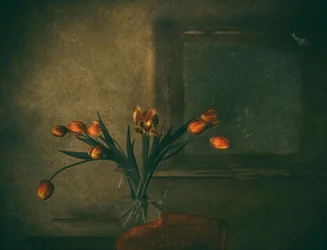 Moody Orange Tulips