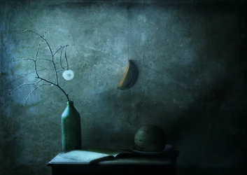 Moonlit Still Life