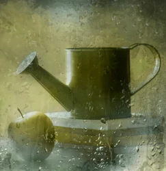 Rainy Window Still Life