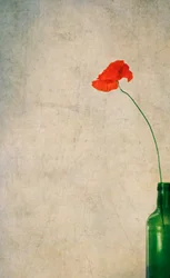 Rustic Poppy And Bottle