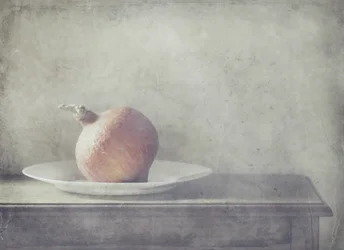 Rustic Squash Still Life
