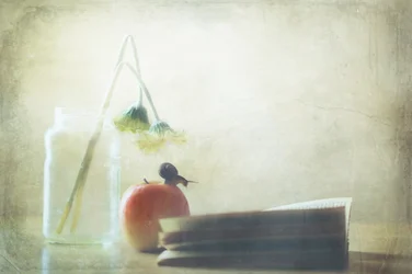 Snail Apple Quiet Moment