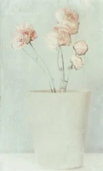 Soft Faded Flowers