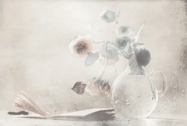 Soft Roses Open Book