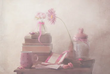 Sweet Pink Comfort