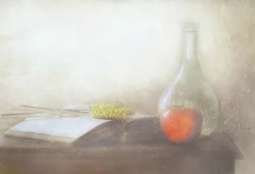 Vintage Book and Apple
