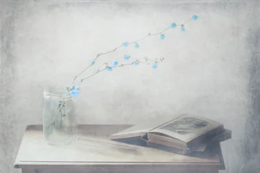 Vintage Book and Blue Flowers