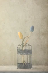 Vintage Caged Tulips