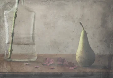 Vintage Pear Still Life