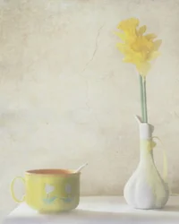 Yellow Daffodil Still Life