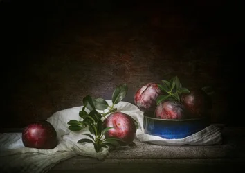 Moody Plums Still Life
