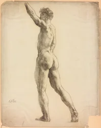 A Study of a Male Figure