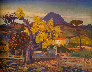 Pear Tree in Blossom