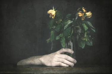 Hand and Wilting Roses