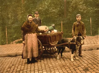 Milk Sellers, Brussels, Belgium