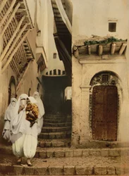 Street of the camels, Algiers, c.1899