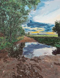 Puddle Near Balzada de Bejar, 2025