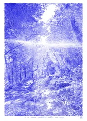 The Light Finds, 2023