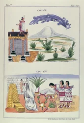 Cap 63 and Cap 64, Illustrations from 