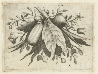 Festoon of fruits