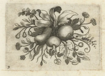 Festoon of Fruits