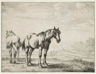 Two Plough Horses