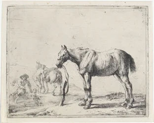 Horse Tied to a Post Facing Left