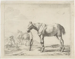 Horse Tied to a Post Facing Left