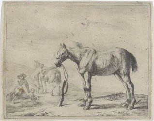 Horse tied to a post facing left