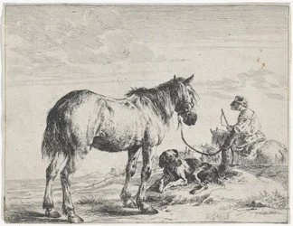 Horse Tied to a Pole (Horses)