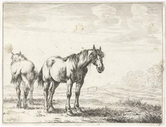 Two Horses in a Landscape