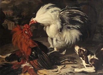 Two Roosters Fighting and a Dog Watching, a Park Landscape Beyond